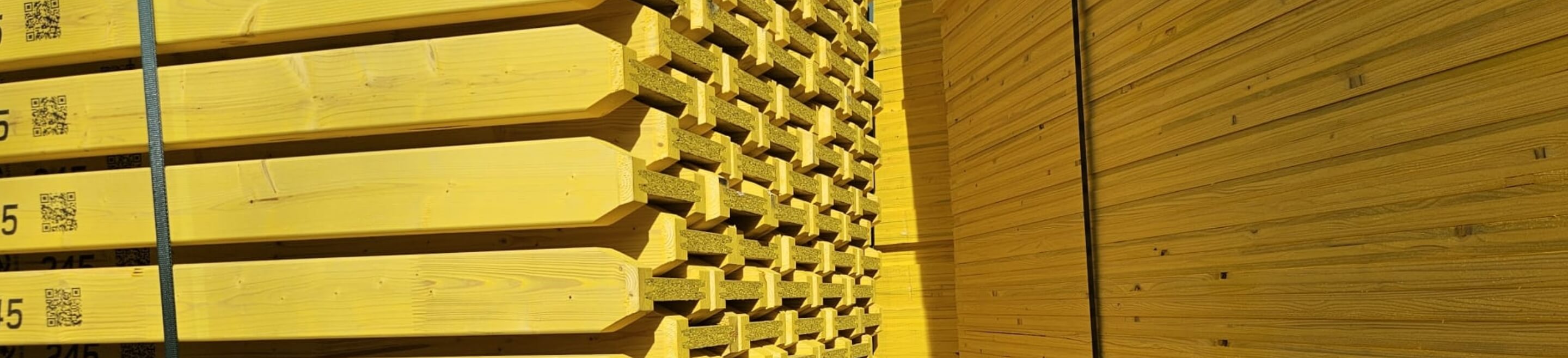 section-image-6